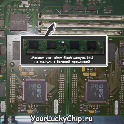     Gaminator - , 